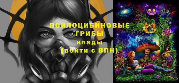 крисы Наволоки