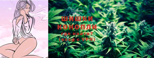 крисы Наволоки