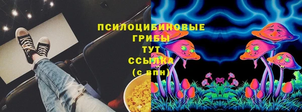 ПСИЛОЦИБИНОВЫЕ ГРИБЫ Надым