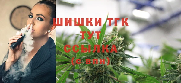 крисы Наволоки