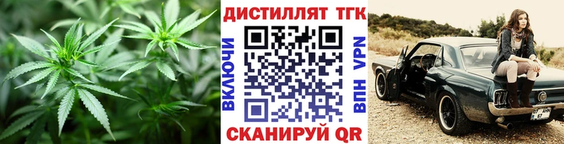 ТГК концентрат  МЕГА онион  Краснослободск 